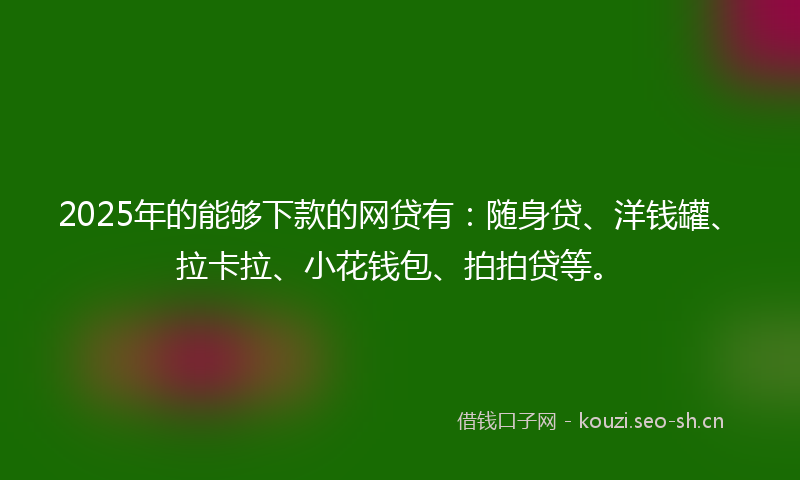 2025年的能够下款的网贷有：随身贷、洋钱罐、拉卡拉、小花钱包、拍拍贷等。