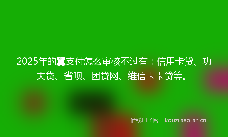 2025年的翼支付怎么审核不过有：信用卡贷、功夫贷、省呗、团贷网、维信卡卡贷等。