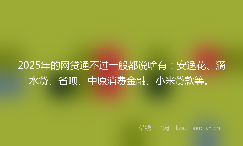 2025年的网贷通不过一般都说啥有：安逸花、滴水贷、省呗、中原消费金融、小米贷款等。