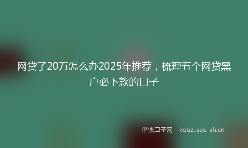 网贷了20万怎么办2025年推荐，梳理五个网贷黑户必下款的口子