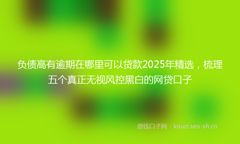 负债高有逾期在哪里可以贷款2025年精选，梳理五个真正无视风控黑白的网贷口子