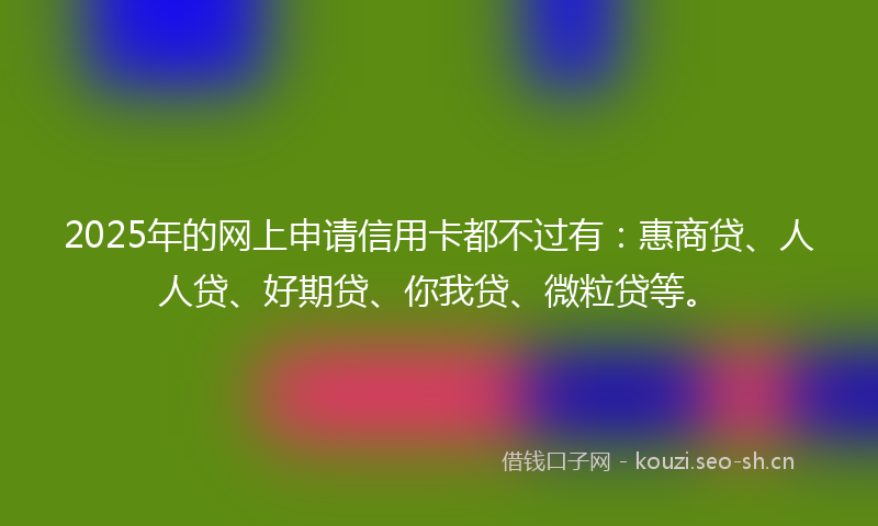 2025年的网上申请信用卡都不过有：惠商贷、人人贷、好期贷、你我贷、微粒贷等。