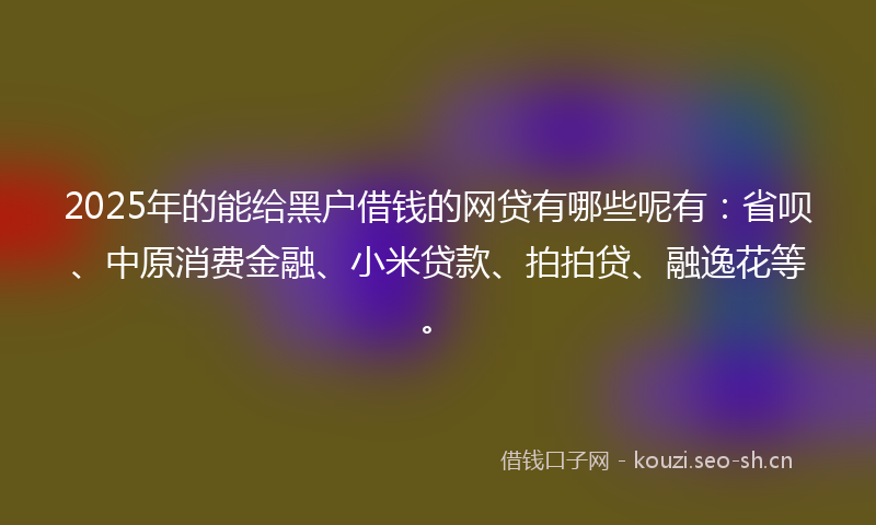 2025年的能给黑户借钱的网贷有哪些呢有：省呗、中原消费金融、小米贷款、拍拍贷、融逸花等。