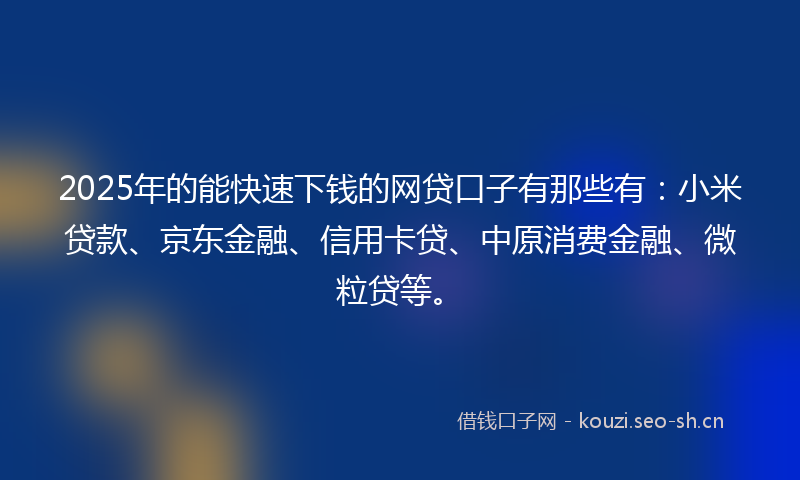 2025年的能快速下钱的网贷口子有那些有：小米贷款、京东金融、信用卡贷、中原消费金融、微粒贷等。