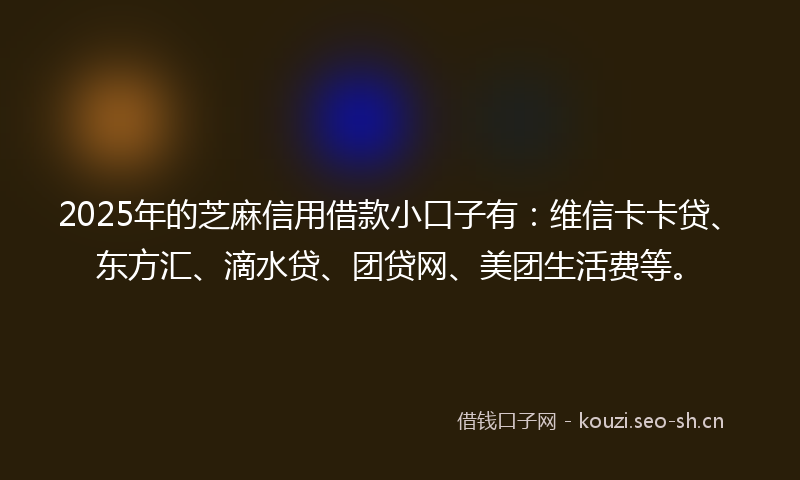 2025年的芝麻信用借款小口子有：维信卡卡贷、东方汇、滴水贷、团贷网、美团生活费等。