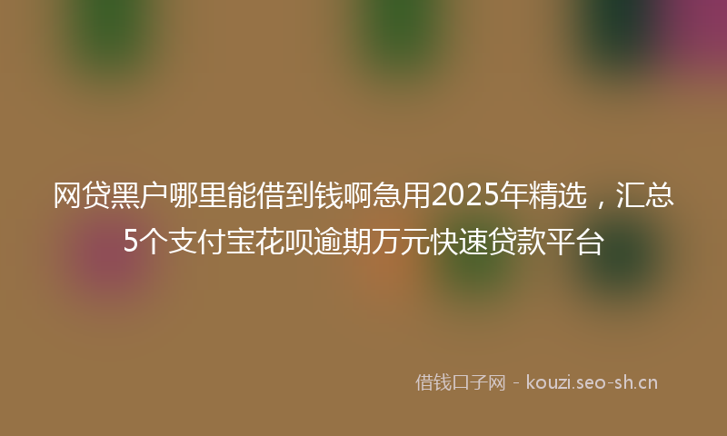 网贷黑户哪里能借到钱啊急用2025年精选，汇总5个支付宝花呗逾期万元快速贷款平台