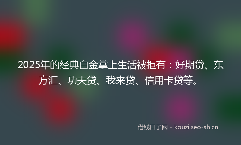 2025年的经典白金掌上生活被拒有：好期贷、东方汇、功夫贷、我来贷、信用卡贷等。