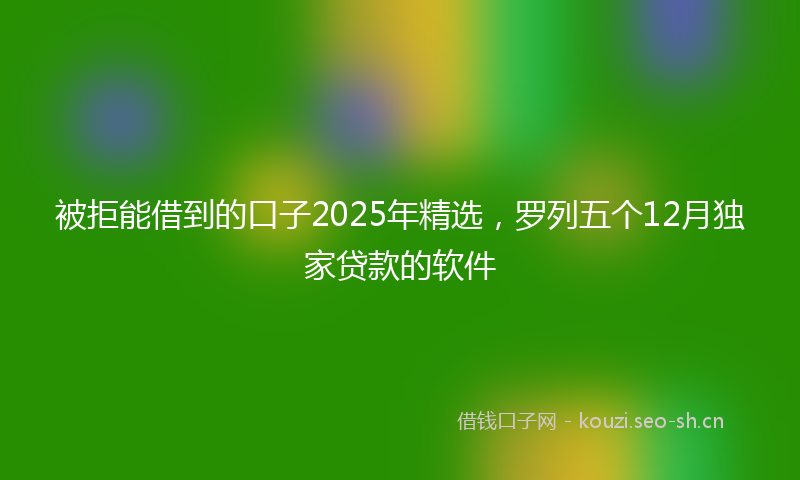 被拒能借到的口子2025年精选，罗列五个12月独家贷款的软件