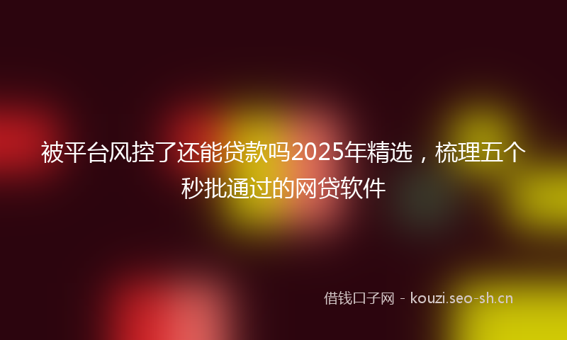 被平台风控了还能贷款吗2025年精选，梳理五个秒批通过的网贷软件