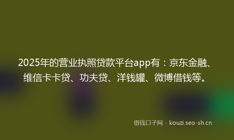 2025年的营业执照贷款平台app有：京东金融、维信卡卡贷、功夫贷、洋钱罐、微博借钱等。