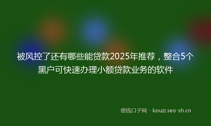被风控了还有哪些能贷款2025年推荐，整合5个黑户可快速办理小额贷款业务的软件