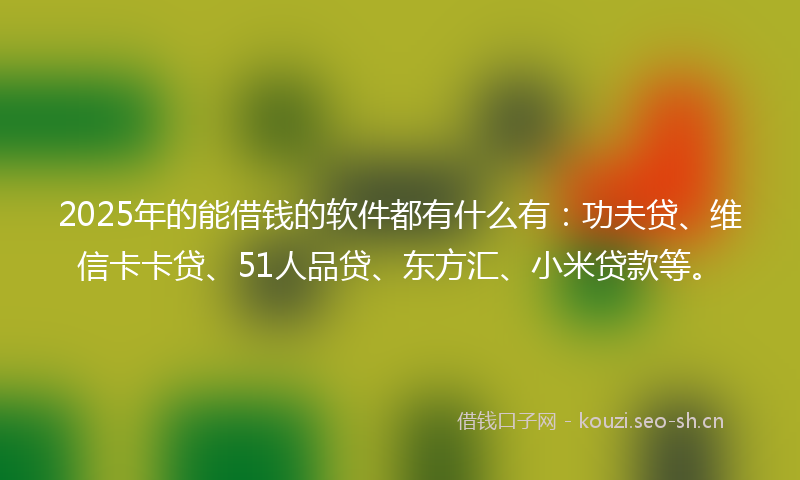 2025年的能借钱的软件都有什么有：功夫贷、维信卡卡贷、51人品贷、东方汇、小米贷款等。