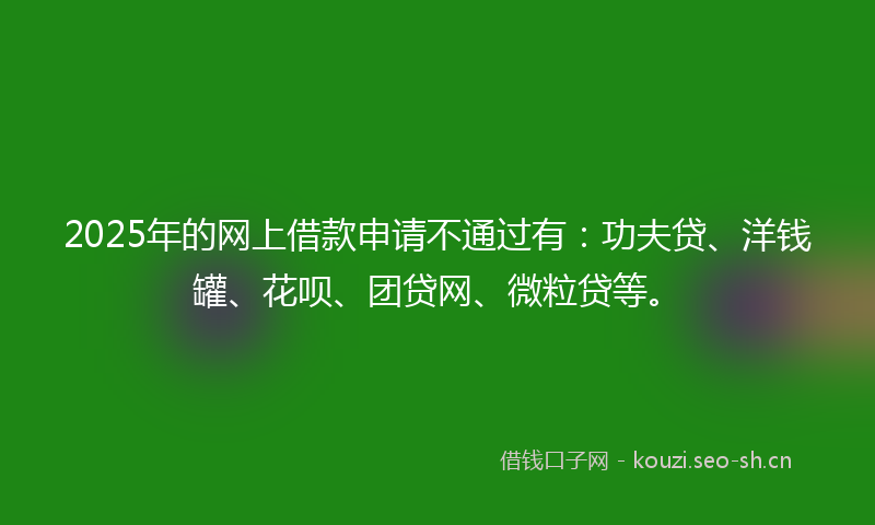 2025年的网上借款申请不通过有：功夫贷、洋钱罐、花呗、团贷网、微粒贷等。