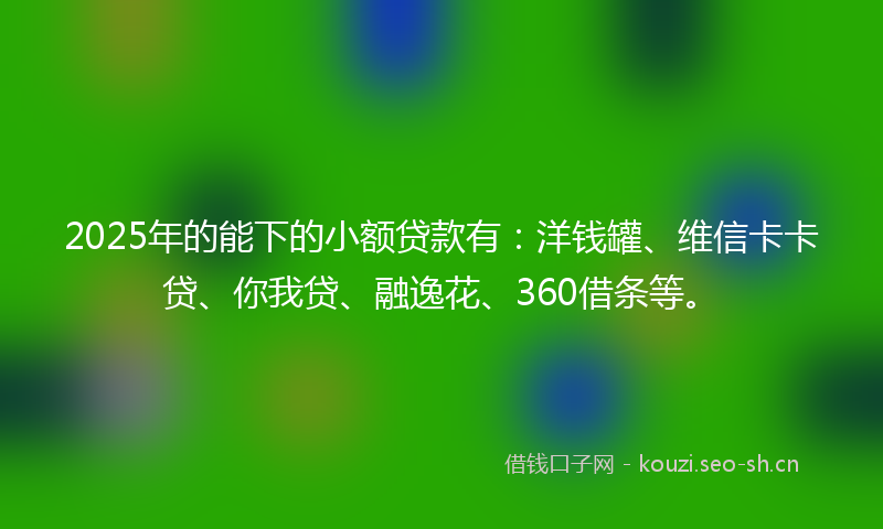 2025年的能下的小额贷款有：洋钱罐、维信卡卡贷、你我贷、融逸花、360借条等。
