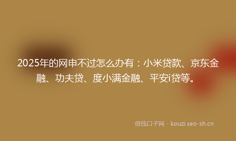 2025年的网申不过怎么办有：小米贷款、京东金融、功夫贷、度小满金融、平安i贷等。