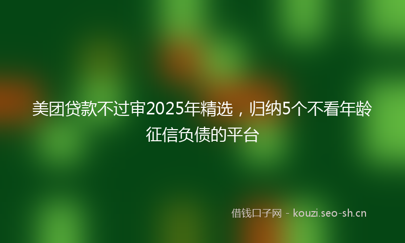 美团贷款不过审2025年精选，归纳5个不看年龄征信负债的平台