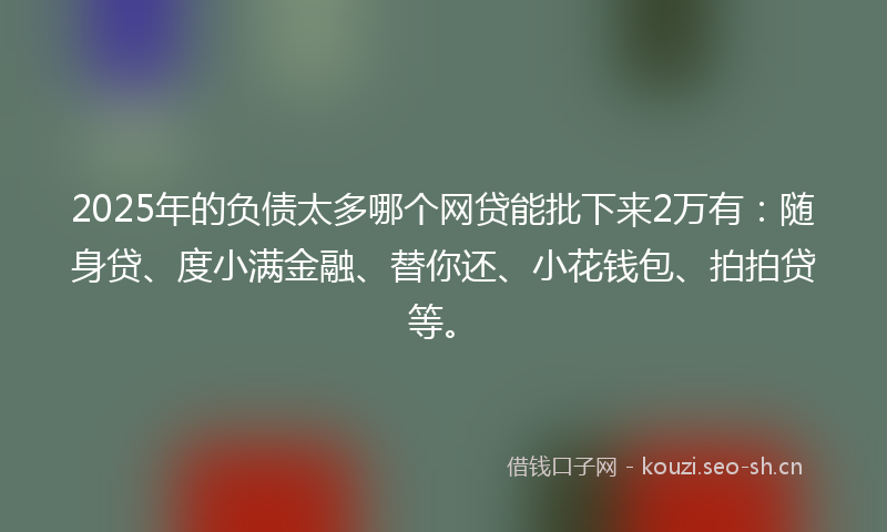 2025年的负债太多哪个网贷能批下来2万有：随身贷、度小满金融、替你还、小花钱包、拍拍贷等。