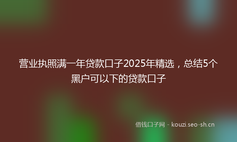 营业执照满一年贷款口子2025年精选，总结5个黑户可以下的贷款口子