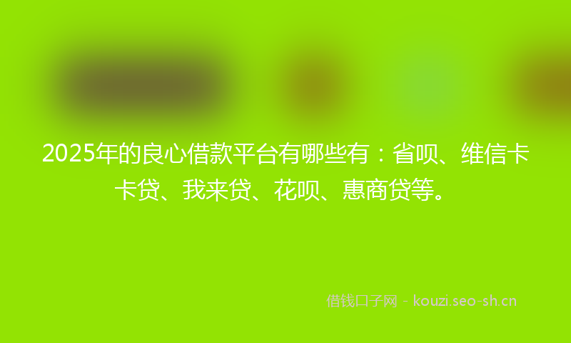 2025年的良心借款平台有哪些有：省呗、维信卡卡贷、我来贷、花呗、惠商贷等。