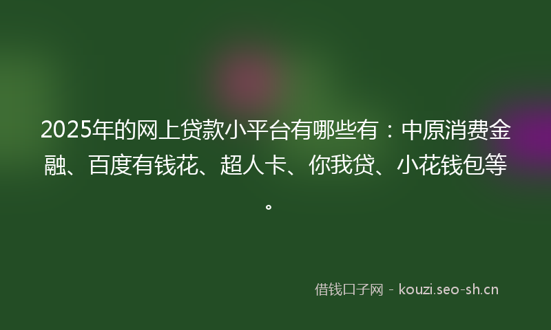 2025年的网上贷款小平台有哪些有：中原消费金融、百度有钱花、超人卡、你我贷、小花钱包等。