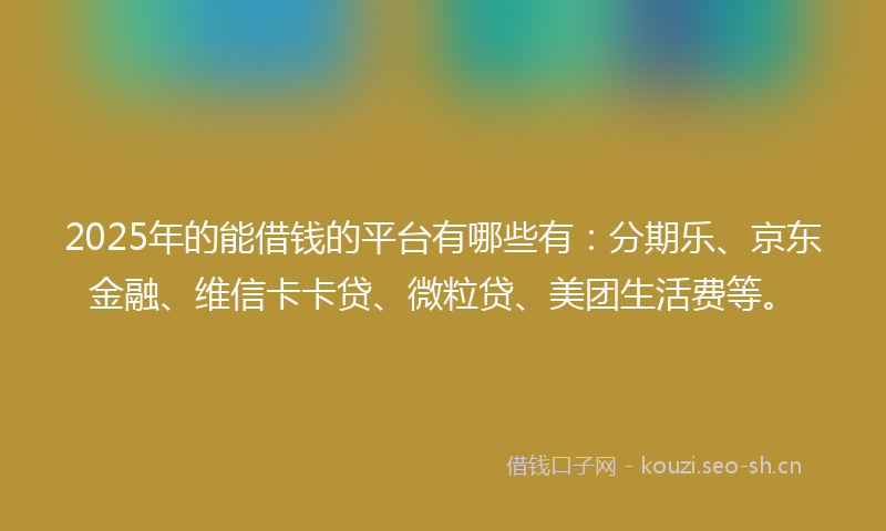 2025年的能借钱的平台有哪些有：分期乐、京东金融、维信卡卡贷、微粒贷、美团生活费等。