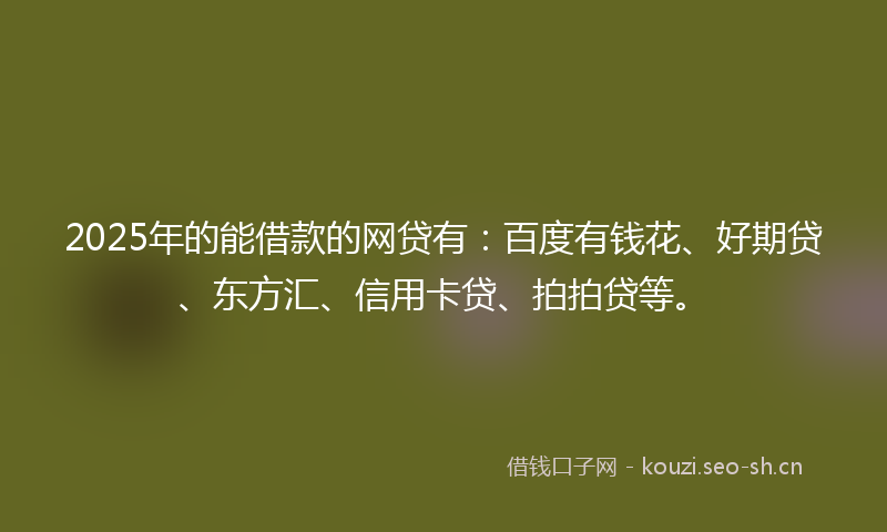 2025年的能借款的网贷有：百度有钱花、好期贷、东方汇、信用卡贷、拍拍贷等。