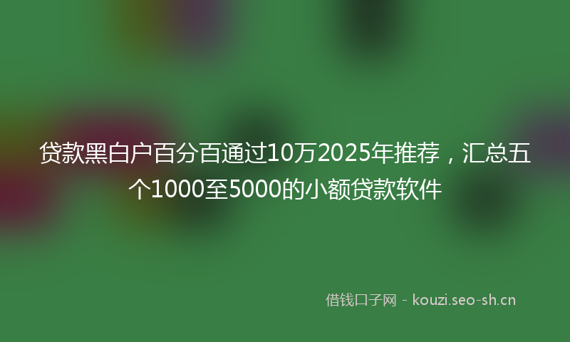 贷款黑白户百分百通过10万2025年推荐，汇总五个1000至5000的小额贷款软件