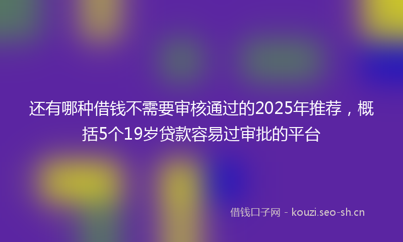 还有哪种借钱不需要审核通过的2025年推荐，概括5个19岁贷款容易过审批的平台