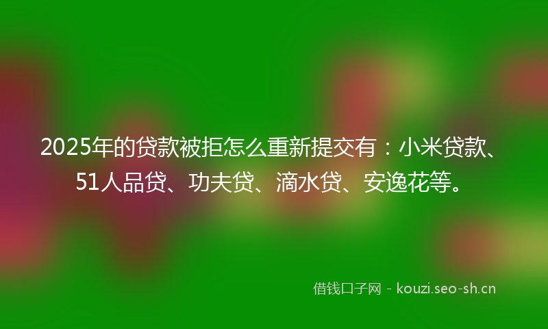 2025年的贷款被拒怎么重新提交有：小米贷款、51人品贷、功夫贷、滴水贷、安逸花等。