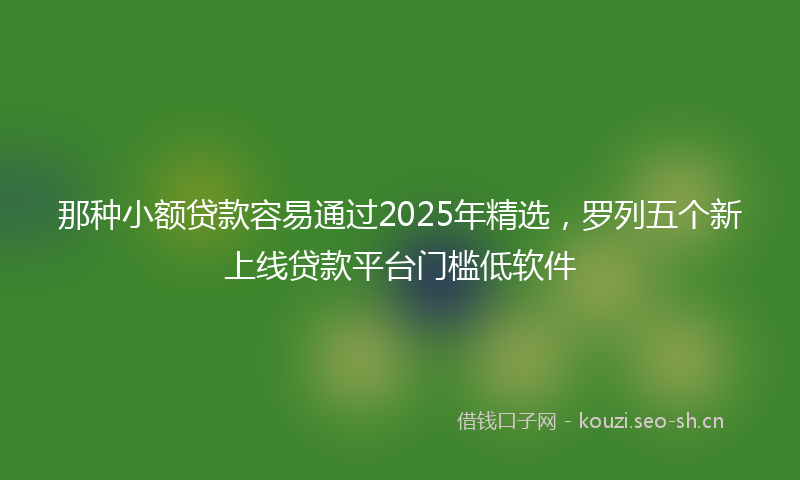 那种小额贷款容易通过2025年精选，罗列五个新上线贷款平台门槛低软件