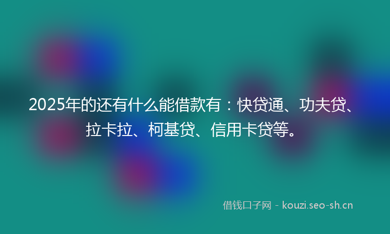2025年的还有什么能借款有：快贷通、功夫贷、拉卡拉、柯基贷、信用卡贷等。