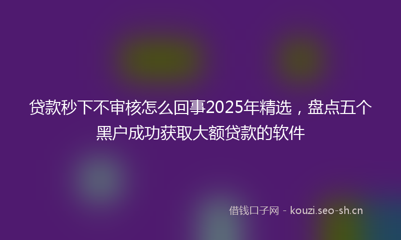贷款秒下不审核怎么回事2025年精选，盘点五个黑户成功获取大额贷款的软件