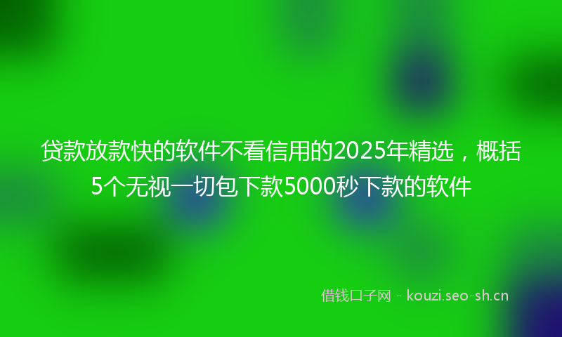 贷款放款快的软件不看信用的2025年精选，概括5个无视一切包下款5000秒下款的软件