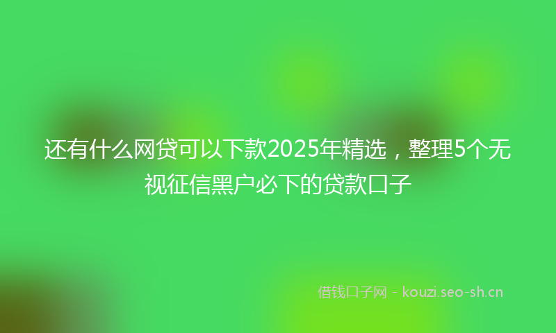 还有什么网贷可以下款2025年精选，整理5个无视征信黑户必下的贷款口子