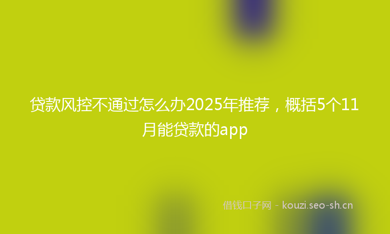 贷款风控不通过怎么办2025年推荐,概括5个11月能贷款的app