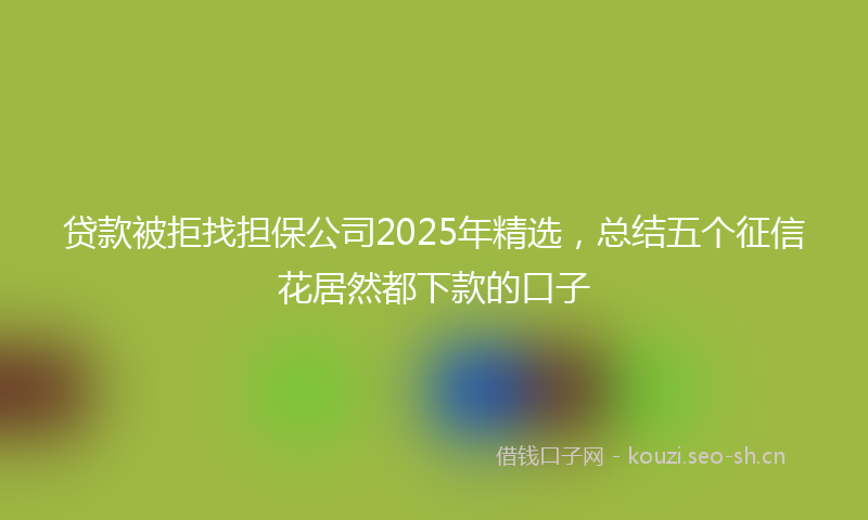 贷款被拒找担保公司2025年精选，总结五个征信花居然都下款的口子