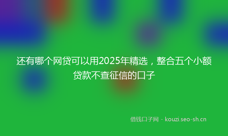 还有哪个网贷可以用2025年精选，整合五个小额贷款不查征信的口子