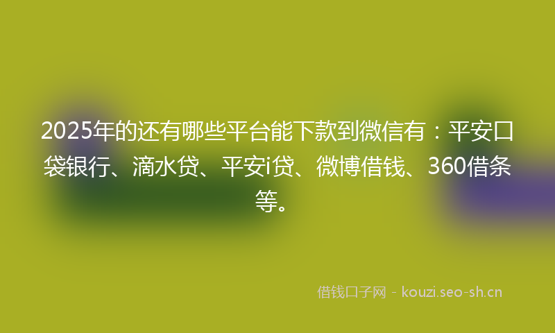 2025年的还有哪些平台能下款到微信有:平安口袋银行、滴水贷、平安i贷、微博借钱、360借条等。