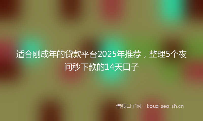 适合刚成年的贷款平台2025年推荐，整理5个夜间秒下款的14天口子