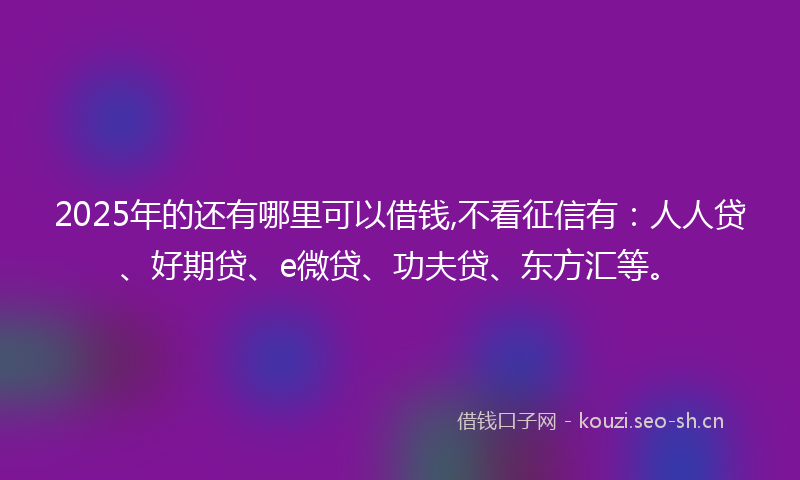 2025年的还有哪里可以借钱,不看征信有：人人贷、好期贷、e微贷、功夫贷、东方汇等。