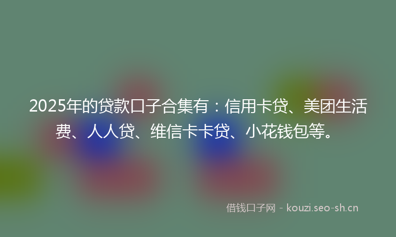 2025年的贷款口子合集有：信用卡贷、美团生活费、人人贷、维信卡卡贷、小花钱包等。