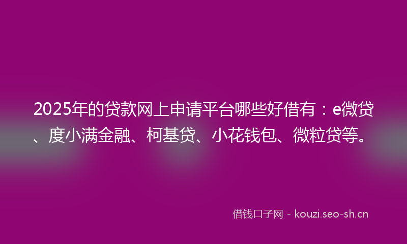 2025年的贷款网上申请平台哪些好借有：e微贷、度小满金融、柯基贷、小花钱包、微粒贷等。