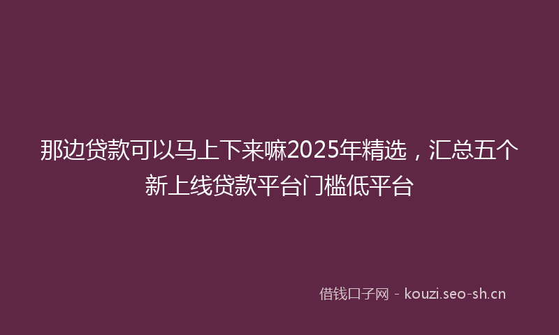那边贷款可以马上下来嘛2025年精选，汇总五个新上线贷款平台门槛低平台