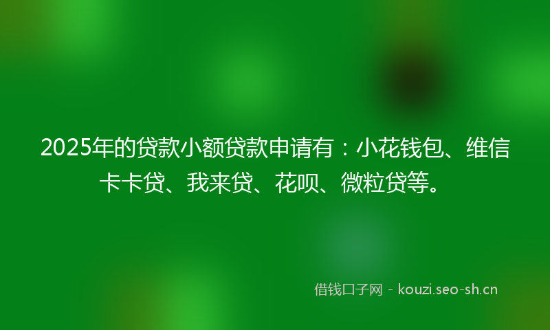 2025年的贷款小额贷款申请有：小花钱包、维信卡卡贷、我来贷、花呗、微粒贷等。