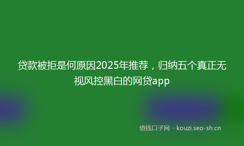 贷款被拒是何原因2025年推荐，归纳五个真正无视风控黑白的网贷app