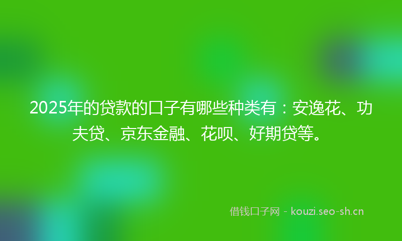 2025年的贷款的口子有哪些种类有：安逸花、功夫贷、京东金融、花呗、好期贷等。