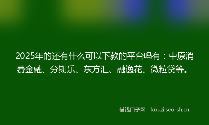 2025年的还有什么可以下款的平台吗有：中原消费金融、分期乐、东方汇、融逸花、微粒贷等。