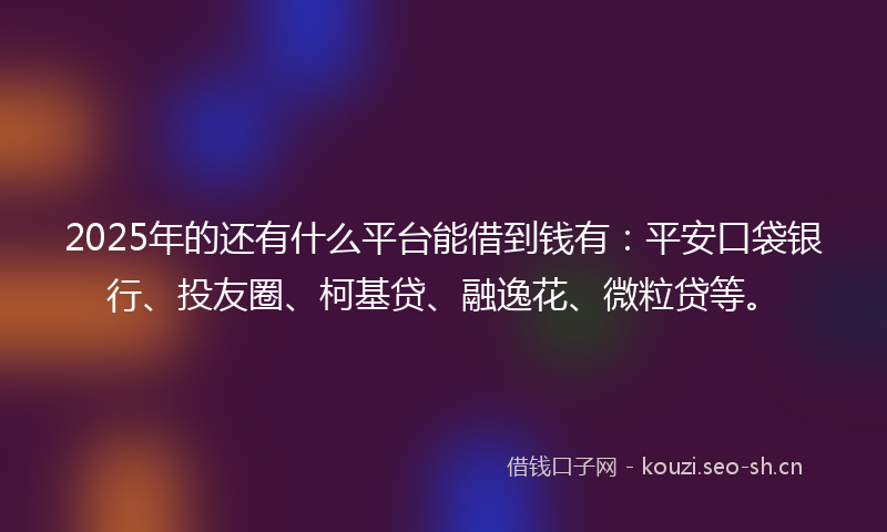 2025年的还有什么平台能借到钱有：平安口袋银行、投友圈、柯基贷、融逸花、微粒贷等。