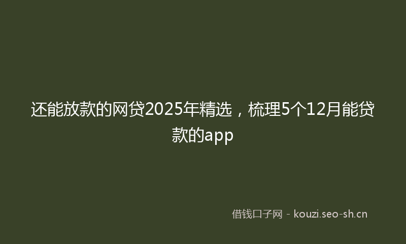 还能放款的网贷2025年精选，梳理5个12月能贷款的app