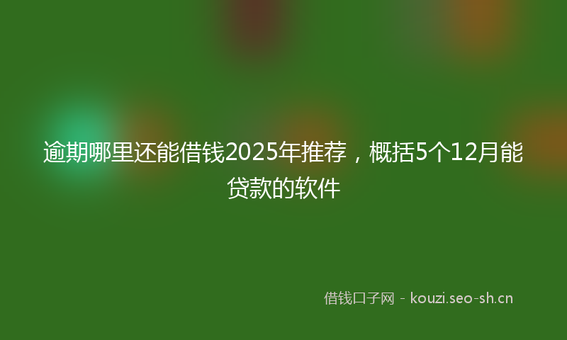 逾期哪里还能借钱2025年推荐，概括5个12月能贷款的软件